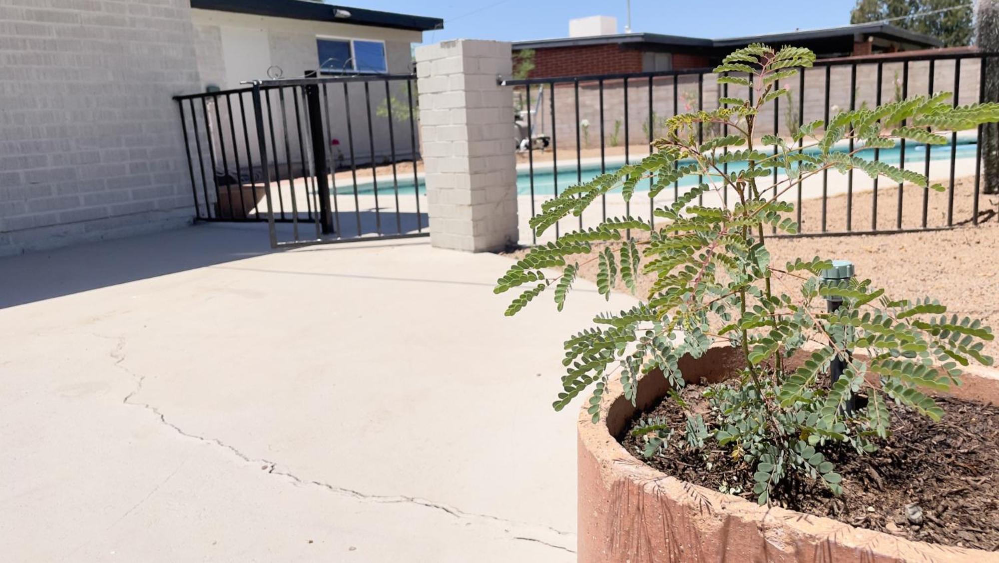 Private Home - Heated Pool, Billiards, Darts, Foosball, Fireplace, 5 Smart Tvs, Bbq, Cotton Bedding - The Saguaro Sanctuary, Pool Heat Optional Tucson Extérieur photo